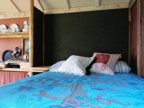 Stargazer Shepherds Hut A warm and cosy getaway